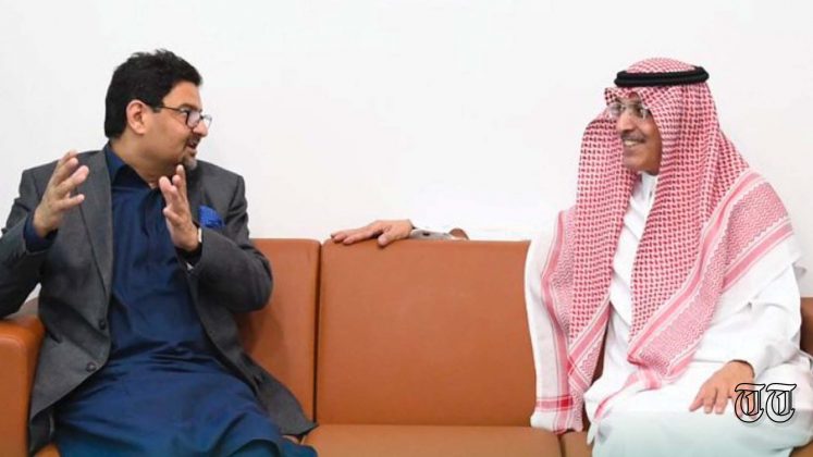 A file photo is shown of Saudi minister for finance Muhammad al-Jaadan meeting his Pakistani counterpart, Miftah Ismail, earlier this month.