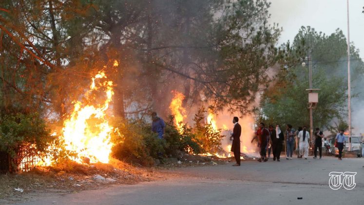A file photo is shown of trees being set ablaze at Islamabad amidst anti-governmental riots.